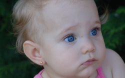 Miklós Anna