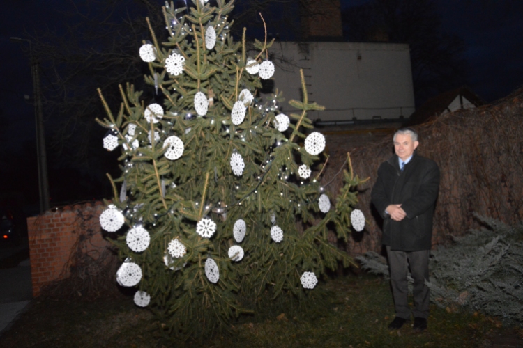 Az 5. sz. választókörzetben is felragyogott egy karácsonyfa