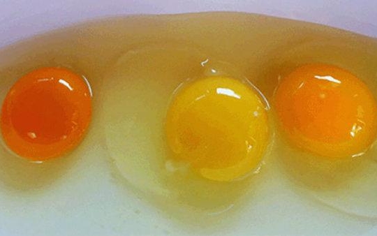 Milyen színű a jó tojás?