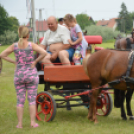 Kiskunfélegyházi Fogathajtó Verseny