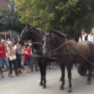 Szüreti felvonulás, borszentelés és bál Kiskunfélegyházán