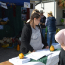 Tömegeket vonzott a Mezgé Piknik