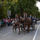 Szüreti felvonulás 2017.