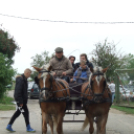 Mezgé Suli Piknik a Tangazdaságban