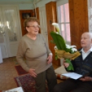 66 éve élnek együtt örömben és bánatban