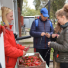 A megye tizennégy általános iskolájának végzősei látogattak el a Mezgé pályaorientációs napjára