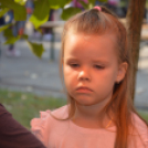 Soha nem találsz náluk különb barátot...