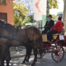 Szüreti felvonulás a Kossuth utcán