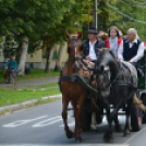 Szüreti felvonulás II.