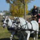 Állati jó nap a felelős állattartás jegyében