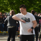 A Zöld nap évről-évre a legnagyobb buli