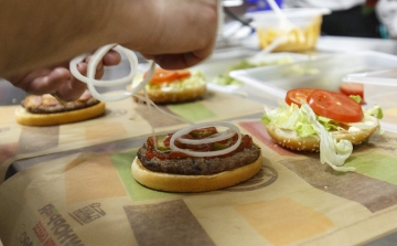 Megérkezett Magyarországra a Burger King húsmentes hamburgere