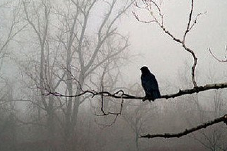 Karácsony másnapján is marad az ősz