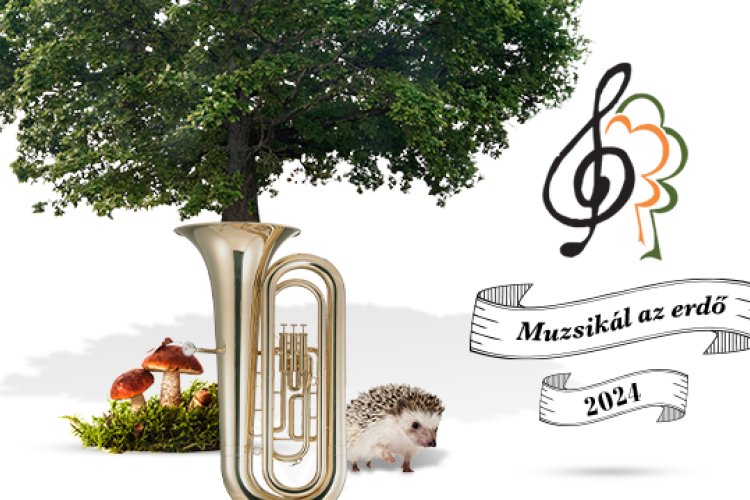 Muzsikál az erdő 2024