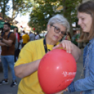 Ki mit tud sütni-főzni a libából?