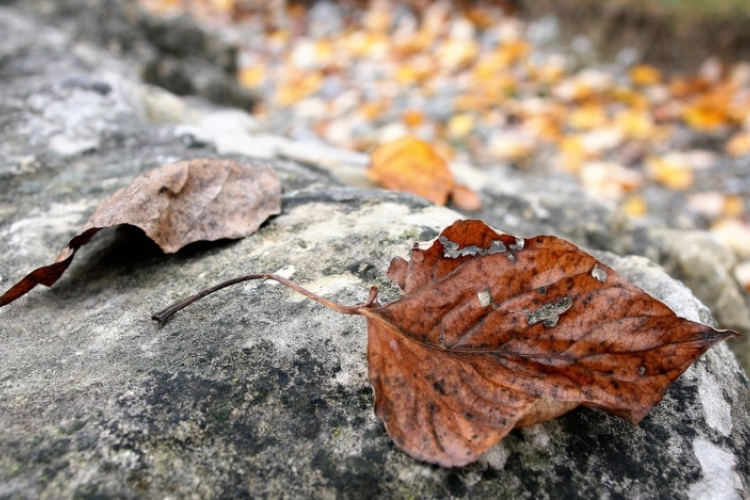 Meleget és esőt is hozhat egy hullámzó front