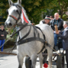 Szüreti felvonulás II.