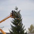 Lelkesen díszítették a fiatalok a lakótelep karácsonyfáját