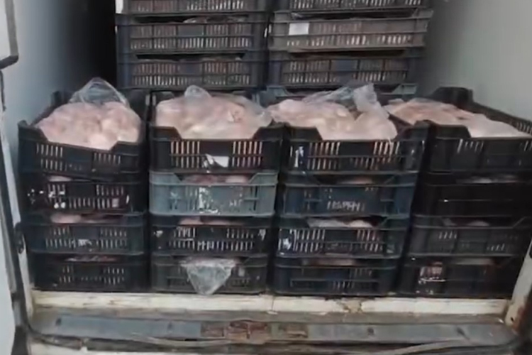 Több mint két tonna romlott húst találtak egy kisteherautóban az M5-ösön