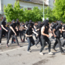 A Zöld nap évről-évre a legnagyobb buli