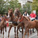 Szüreti felvonulás 2018.