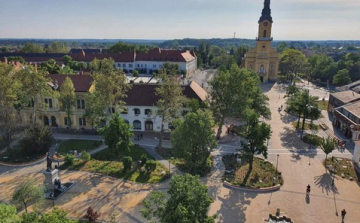 Főtéri platánfák növényvédelmi permetezése