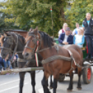 Szüreti felvonulás 2017.