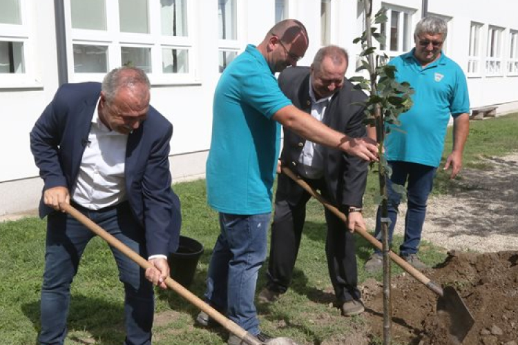 Nyolcezer fát ültetnek el idén ősszel az Országos Településfásítási Programban