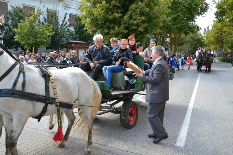 Szüreti felvonulás II.