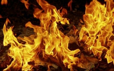 Kecskeméten oltottak a félegyházi lánglovagok