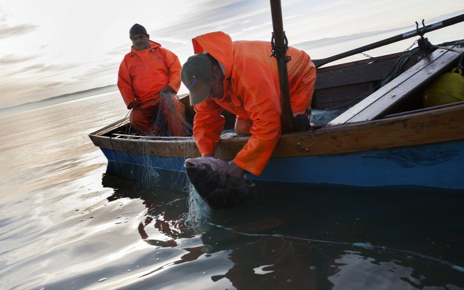 Büntetik a jó horgászokat a Balatonnál 