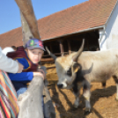 Tömegeket vonzott a Mezgé Piknik
