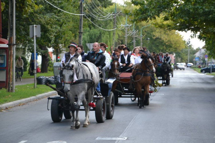 Szüreti felvonulás II.