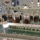 Lassú turizmus és csúcstechnológia – erdélyi szakmai úton a Kiskunfélegyházi Közgazdasági Technikum tanárai