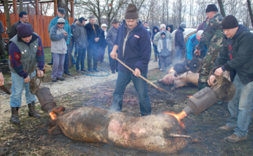 A falu disznóvágása