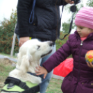 Mezgé Suli Piknik a Tangazdaságban