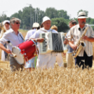 Arató fesztivál Haleszban