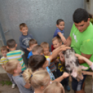 Óvodások látogattak el a Mezgé tangazdaságába