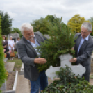 A sikeres élet titka nem a külsőségekben hanem a lélekben, a jellemben rejlik