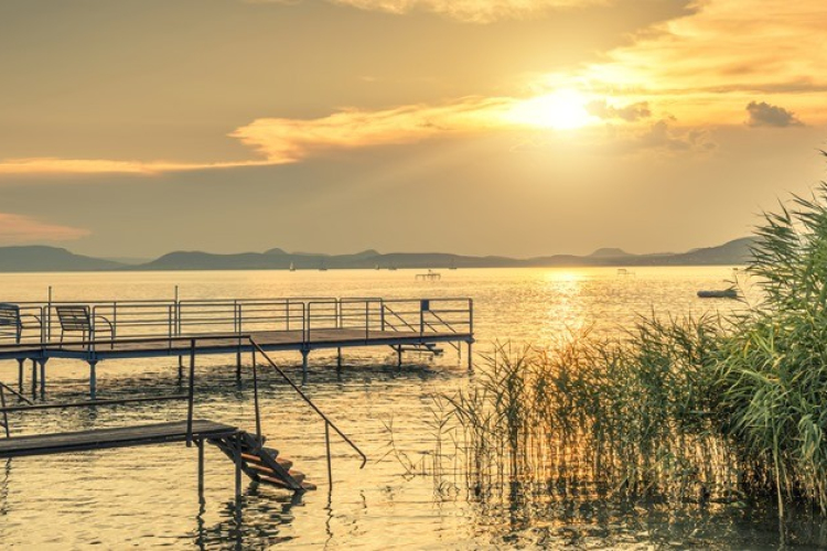 Bajt okozhatnak a balatoni algák