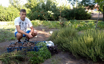 Vegyszermentes zöldfűszereket és zöldségeket termelnek a mezgés diákok