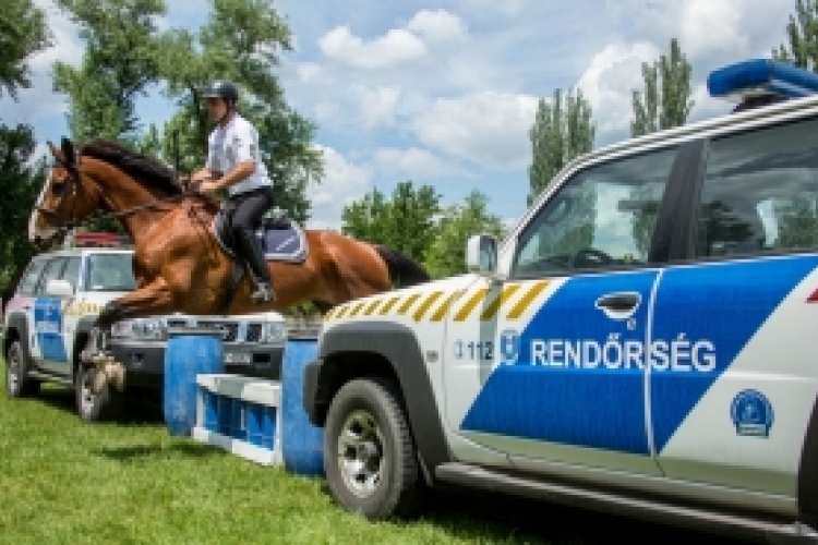 Ló és lovasa a rendőrség szolgálatában