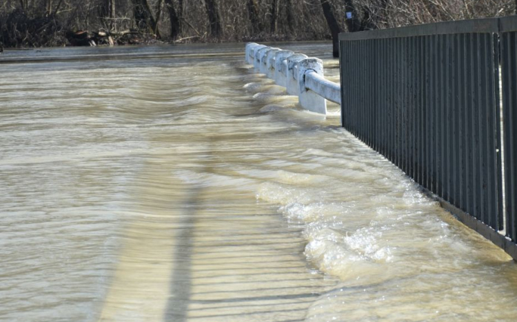 Árad a Tisza Tőserdőnél 