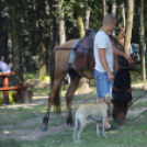 Ismét találkoztak a Kunfakó lovasok