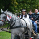 Szüreti felvonulás II.