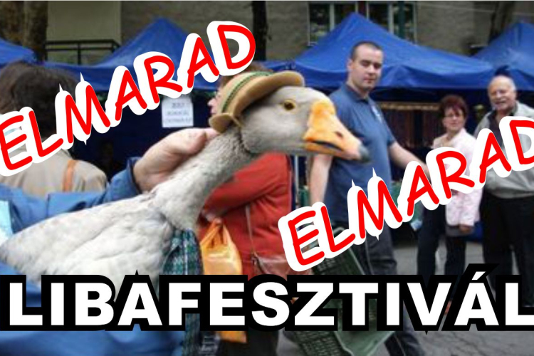 Idén elmarad a Libafesztivál