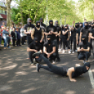 A Zöld nap évről-évre a legnagyobb buli