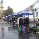 Virágba borult a Béke tér