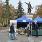 Őszi Virágvásár a művelődési központ szervezésében