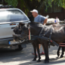 III. Halászlé főzőverseny